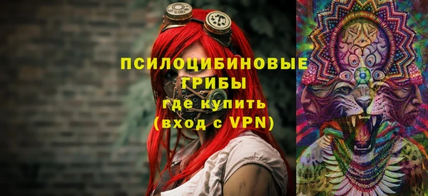 ПСИЛОЦИБИНОВЫЕ ГРИБЫ Богородицк