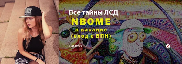 spice Богородск