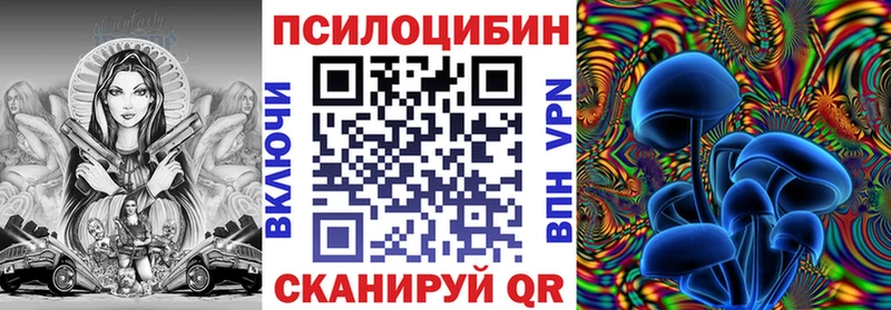 Псилоцибиновые грибы Cubensis блэк спрут Кировск сколько стоит